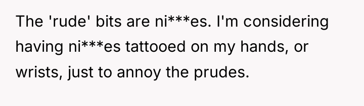 The 'rude' bits are ni***es. I'm considering having ni***es tattooed...