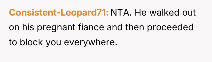 Consistent-Leopard71 NTA. He walked out on his pregnant fiance and...