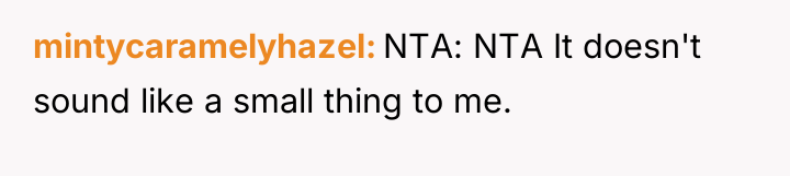 mintycaramelyhazel NTA: NTA It doesn't sound like a small thing...