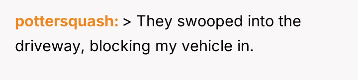 pottersquash > They swooped into the driveway, blocking my vehicle...