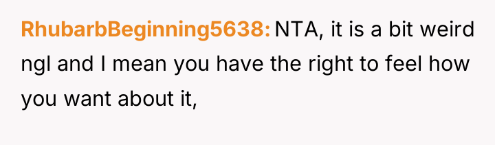 RhubarbBeginning5638 NTA, it is a bit weird ngl and I...