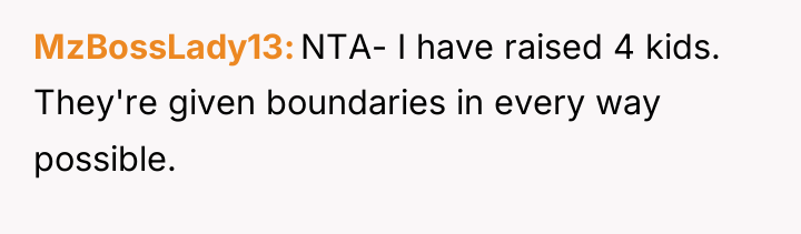 MzBossLady13 NTA- I have raised 4 kids. They're given boundaries...
