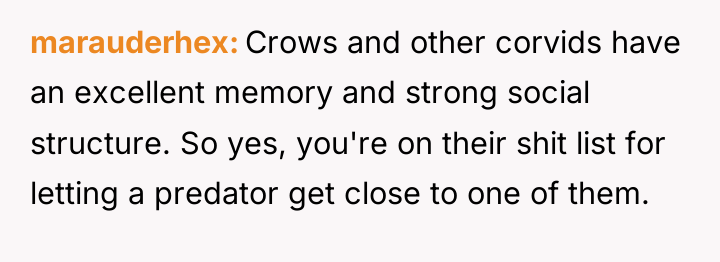 marauderhex Crows and other corvids have an excellent memory and...