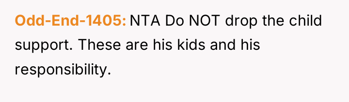Odd-End-1405 NTA Do NOT drop the child support. These are...