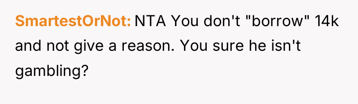 SmartestOrNot NTA You don't "borrow" 14k and not give a...