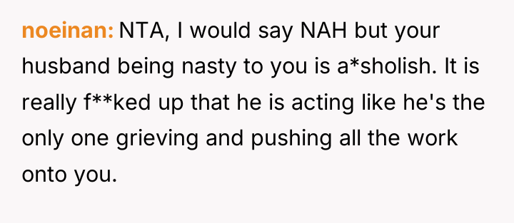 noeinan NTA, I would say NAH but your husband being...