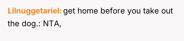 Lilnuggetariel get home before you take out the dog.: NTA,