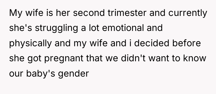 My wife is her second trimester and currently she's struggling...