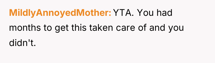 MildlyAnnoyedMother YTA. You had months to get this taken care...