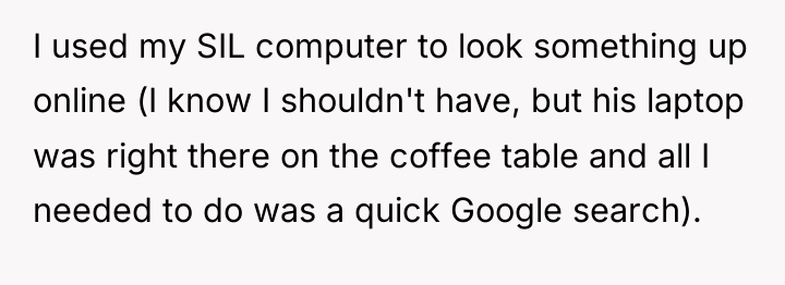 I used my SIL computer to look something up online...