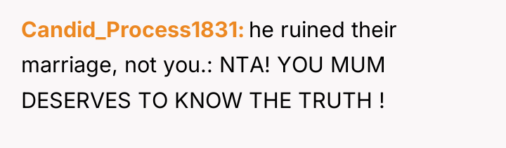 Candid_Process1831 he ruined their marriage, not you.: NTA! YOU MUM...