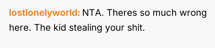 lostlonelyworld NTA. Theres so much wrong here. The kid stealing...