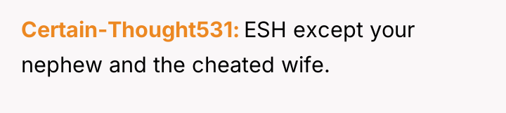 Certain-Thought531 ESH except your nephew and the cheated wife.