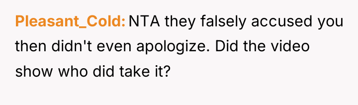 Pleasant_Cold NTA they falsely accused you then didn't even apologize....