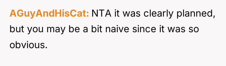 AGuyAndHisCat NTA it was clearly planned, but you may be...