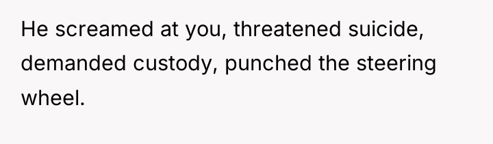 He screamed at you, threatened suicide, demanded custody, punched the...