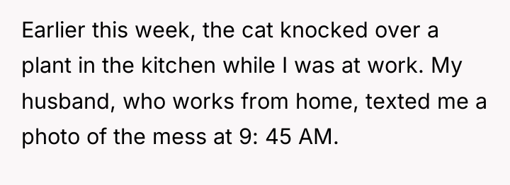 Earlier this week, the cat knocked over a plant in...