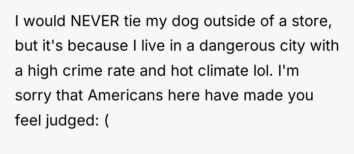 I would NEVER tie my dog outside of a store,...