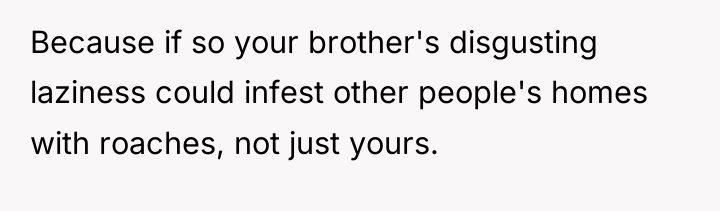 Because if so your brother's disgusting laziness could infest other...