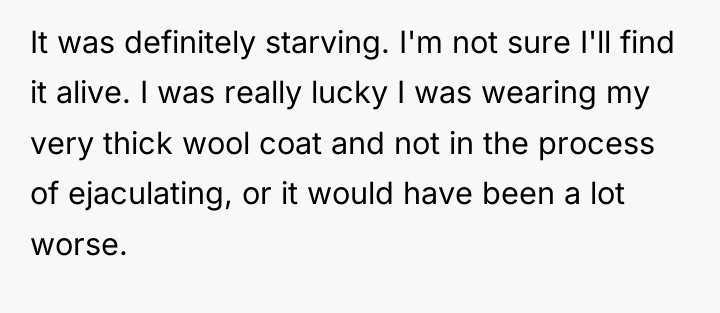 It was definitely starving. I'm not sure I'll find it...