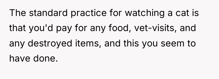 The standard practice for watching a cat is that you'd...