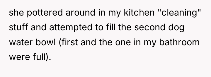 she pottered around in my kitchen "cleaning" stuff and attempted...