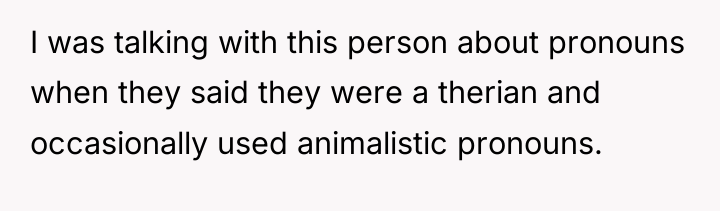 I was talking with this person about pronouns when they...