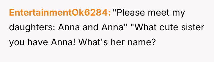 EntertainmentOk6284 "Please meet my daughters: Anna and Anna" "What cute...