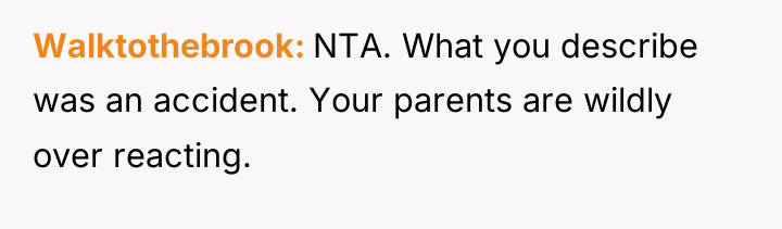 Walktothebrook NTA. What you describe was an accident. Your parents...