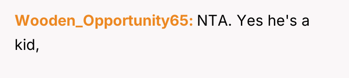 Wooden_Opportunity65 NTA. Yes he's a kid,