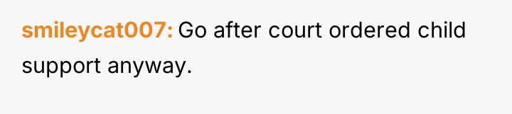 smileycat007 Go after court ordered child support anyway.