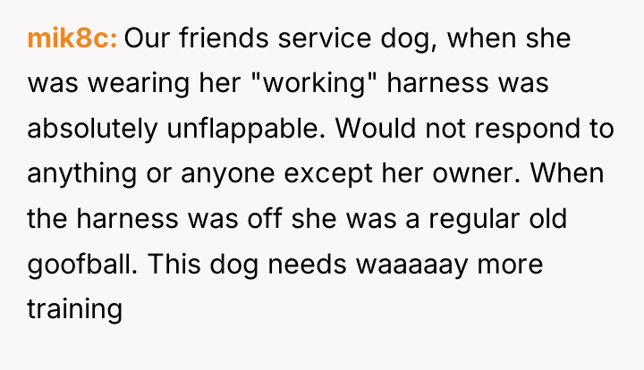 mik8c Our friends service dog, when she was wearing her...