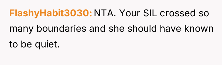 FlashyHabit3030 NTA. Your SIL crossed so many boundaries and she...