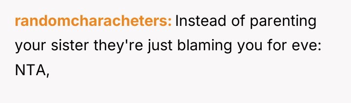 randomcharacheters Instead of parenting your sister they're just blaming you...
