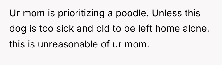 Ur mom is prioritizing a poodle. Unless this dog is...