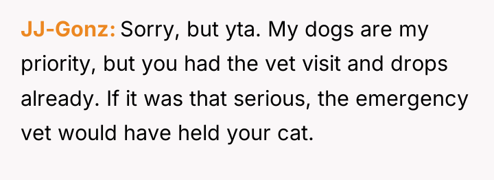 JJ-Gonz Sorry, but yta. My dogs are my priority, but...