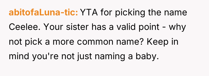 abitofaLuna-tic YTA for picking the name Ceelee. Your sister has...
