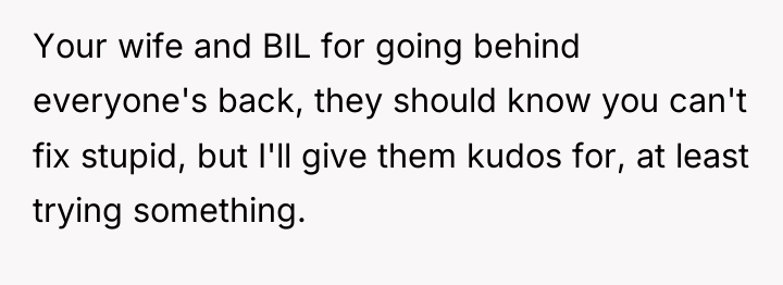Your wife and BIL for going behind everyone's back, they...