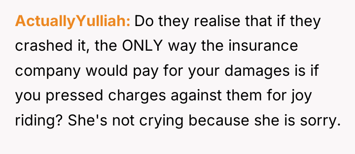 ActuallyYulliah Do they realise that if they crashed it, the...