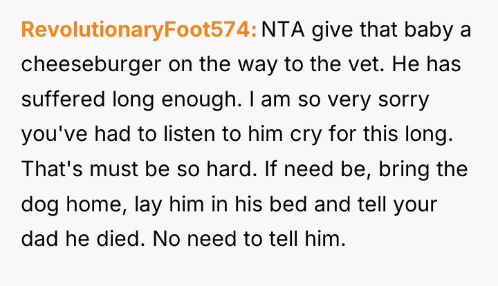 RevolutionaryFoot574 NTA give that baby a cheeseburger on the way...