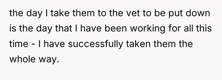 the day I take them to the vet to be...