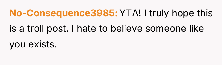 No-Consequence3985 YTA! I truly hope this is a troll post....