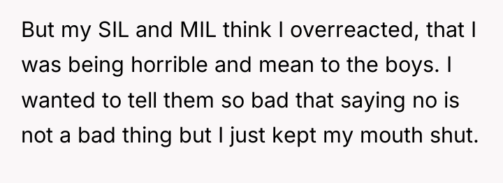 But my SIL and MIL think I overreacted, that I...