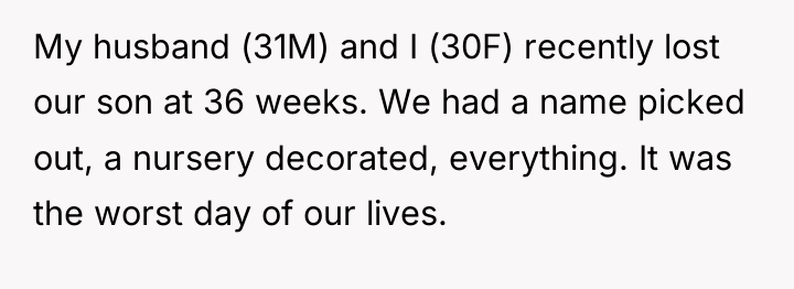 My husband (31M) and I (30F) recently lost our son...