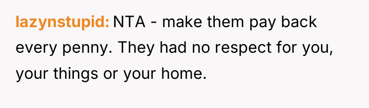 lazynstupid NTA - make them pay back every penny. They...