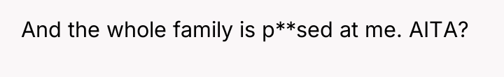 And the whole family is p**sed at me. AITA?