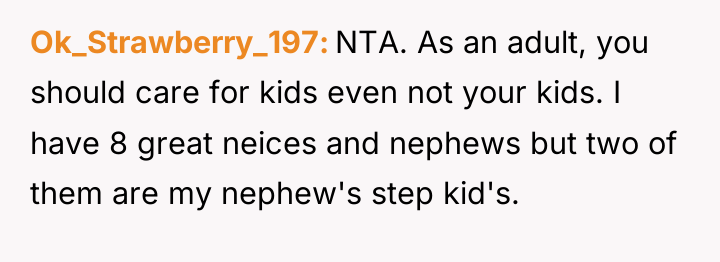 Ok_Strawberry_197 NTA. As an adult, you should care for kids...