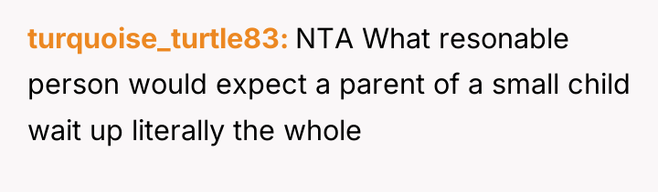 turquoise_turtle83 NTA What resonable person would expect a parent of...