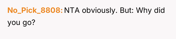 No_Pick_8808 NTA obviously. But: Why did you go?