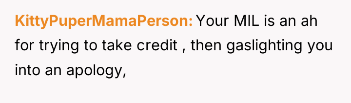 KittyPuperMamaPerson Your MIL is an ah for trying to take...